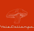 CD CAFE TACUBA/VALE CALLAMPA