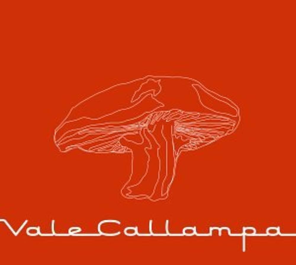 CD CAFE TACUBA/VALE CALLAMPA