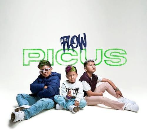 CD PICUS  FLOW PICUS