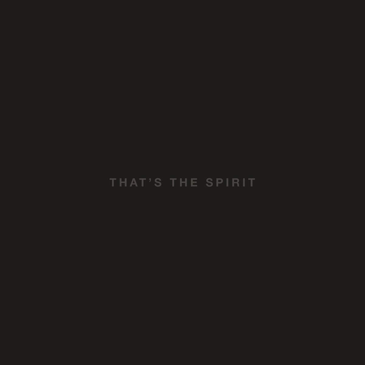 CD BRING ME THE HORIZON/THAT'S THE SPIRI