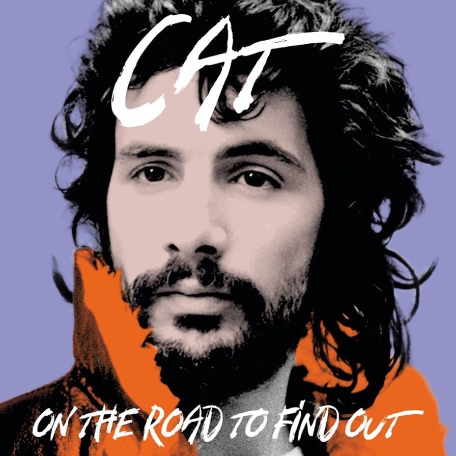 LP CAT STEVENS / GREATEST HITS