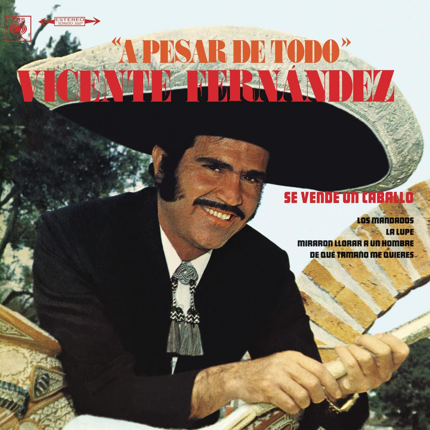 LP VICENTE FERNANDEZ/ A PESAR DE TODO