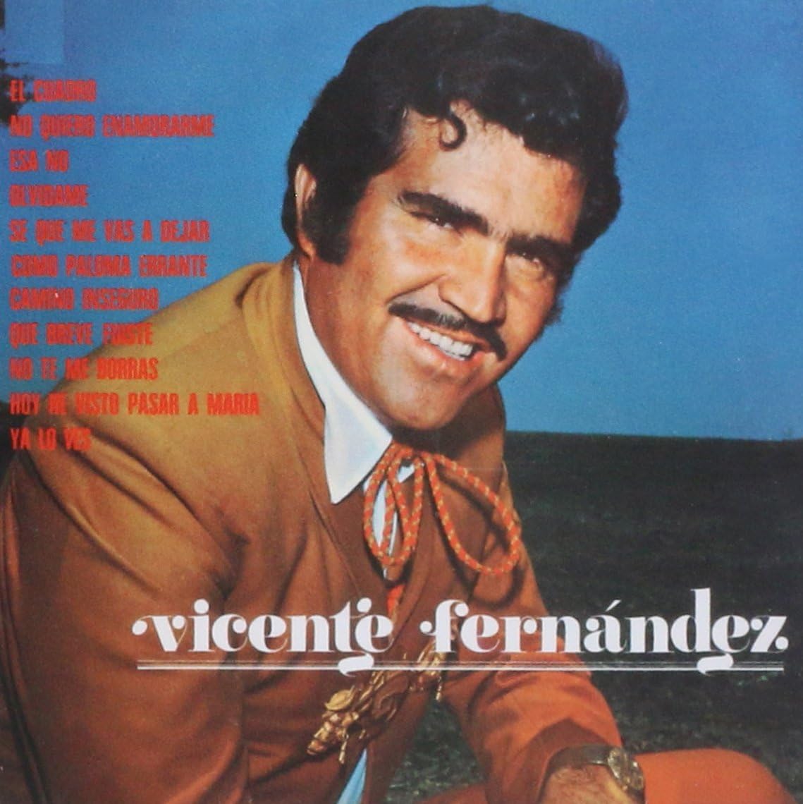 CD VICENTE FERNANDEZ/CAMINO INSEGURO