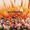 CD RAMMSTEIN/HERZELEID