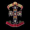 CD GUNS N' ROSES/APPETITE FOR DESTRUCTIO