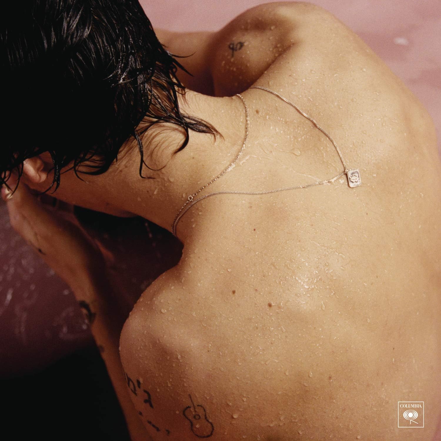 LP  HARRY STYLES /  HARRY STYLES