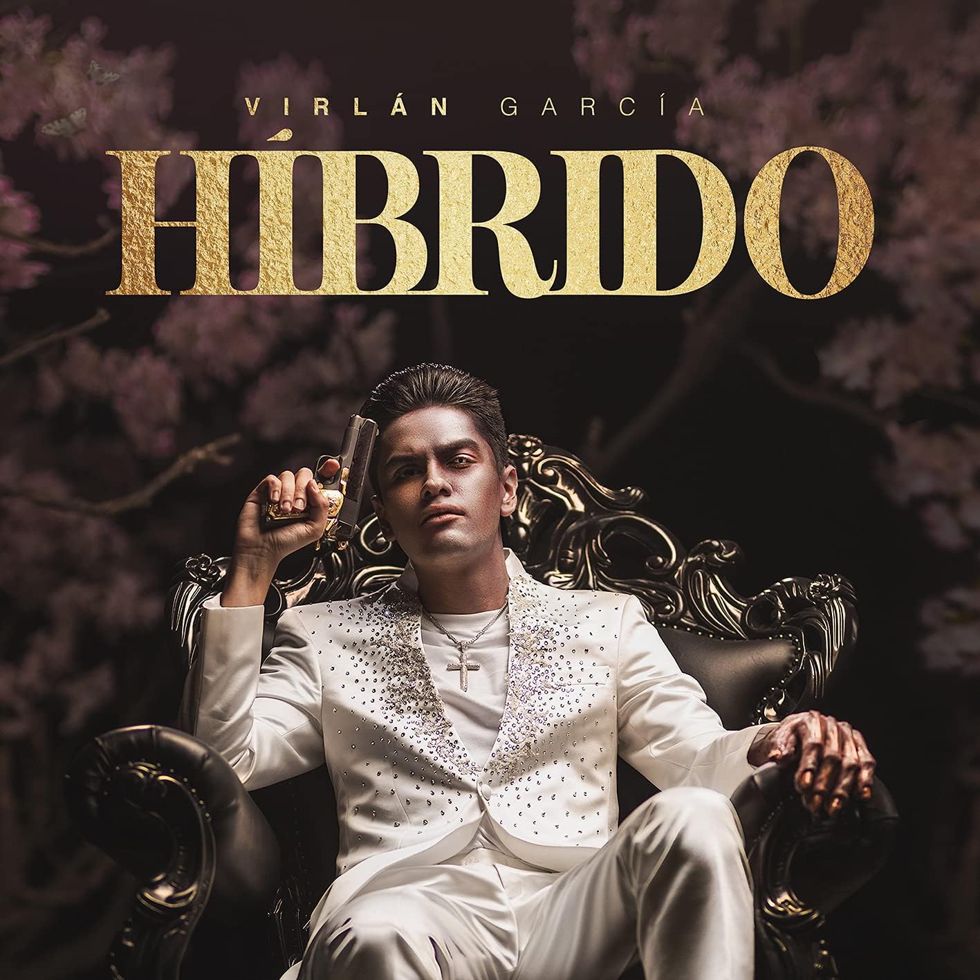CD VIRLAN GARCIA/ HIBRIDO