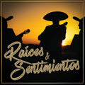 CD VARIOUS /RAICES Y SENTIMIENTOS