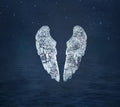 CD COLDPLAY/GHOST STORIES