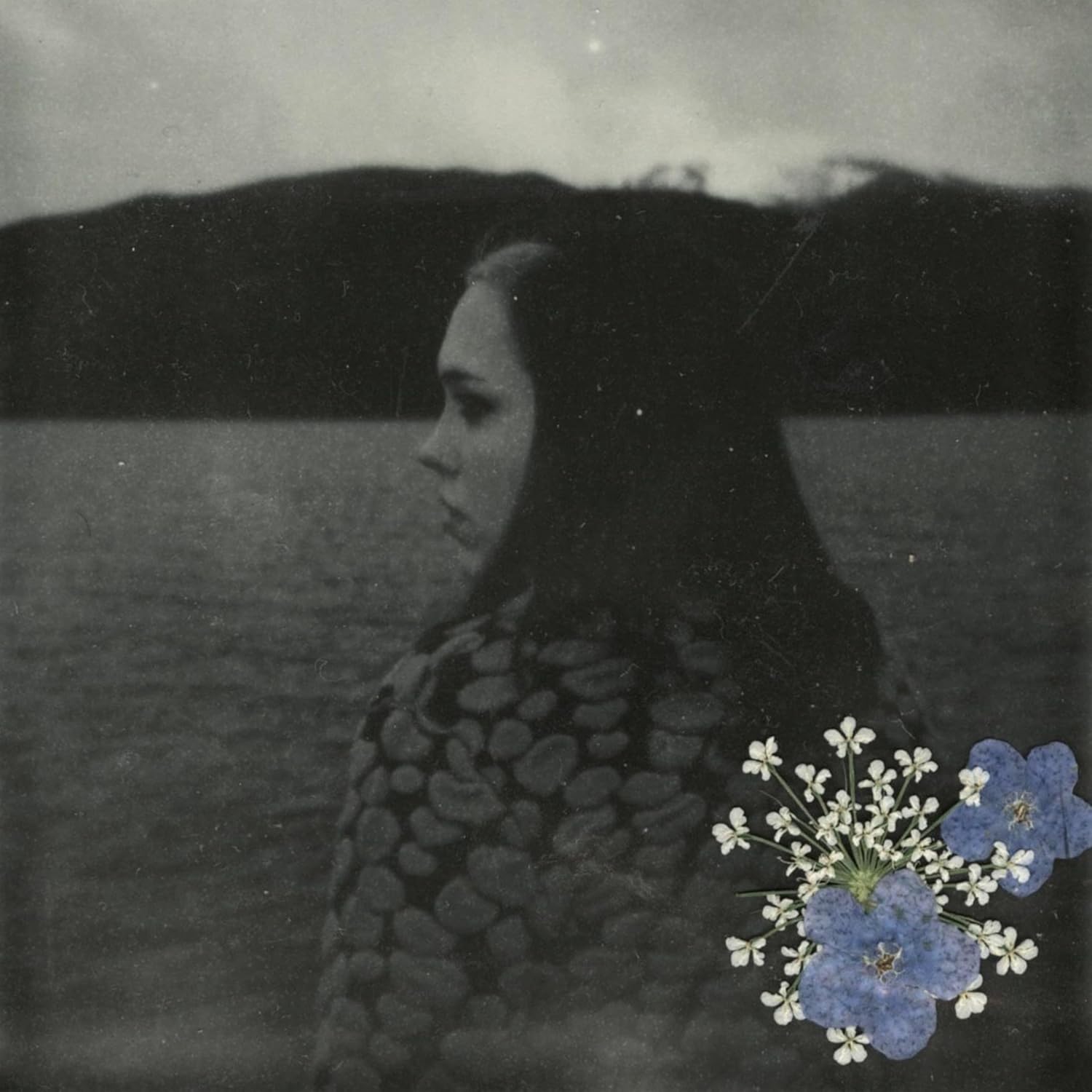 LP SOCCER MOMMY  / EVERGREEN