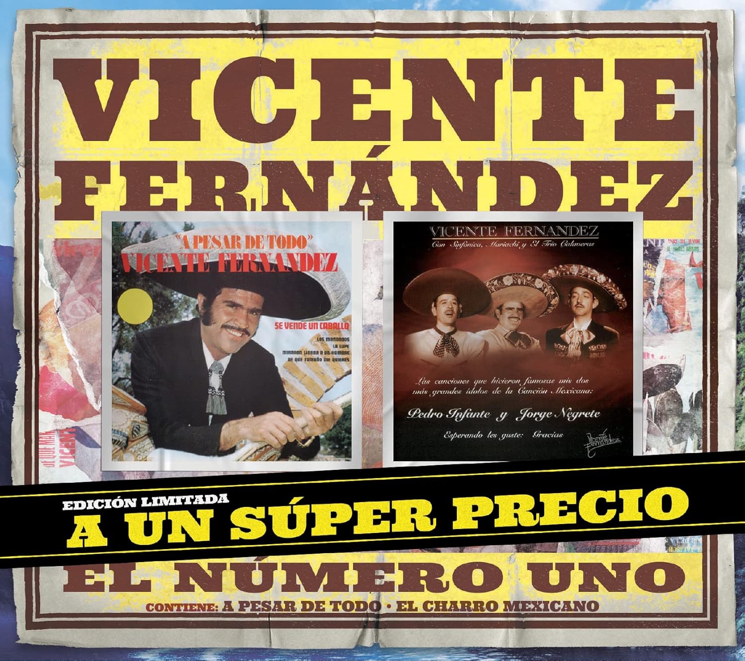 PAQ. CD / VICENTE FDEZ. /A PESAR DE TODO