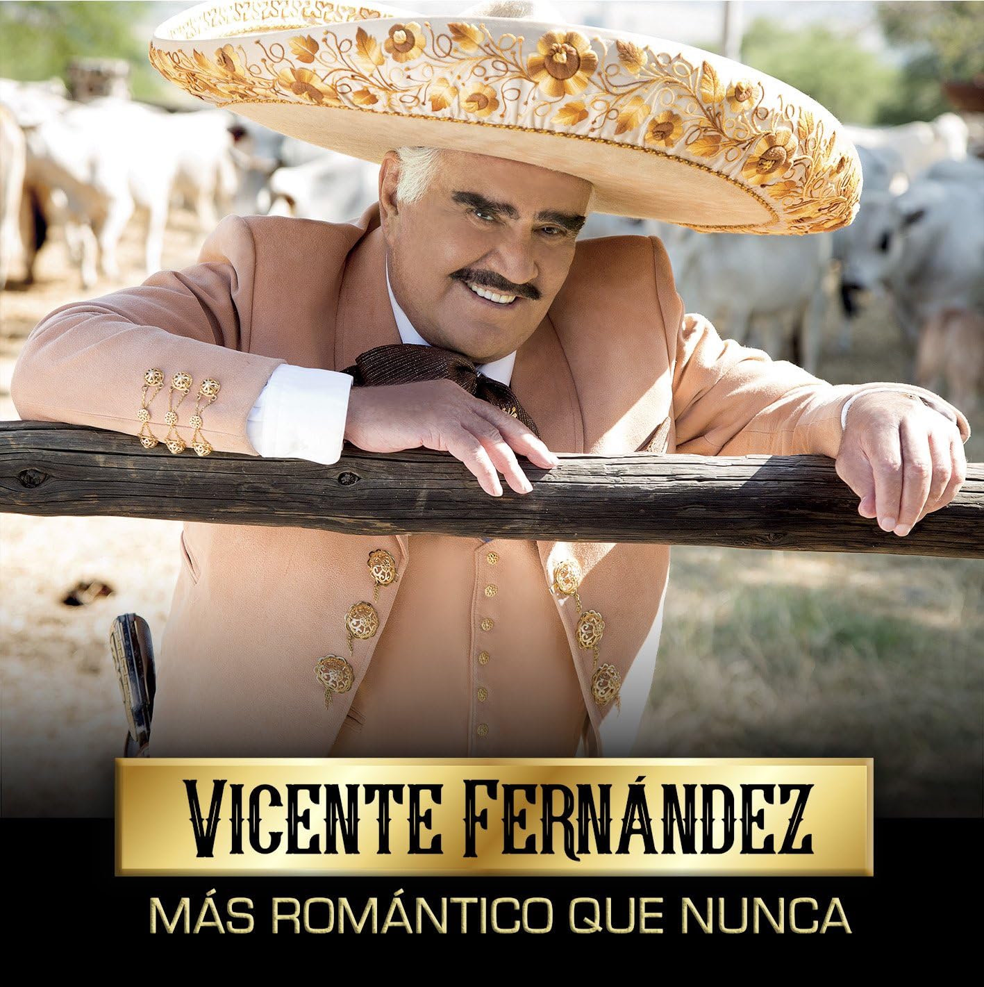 CD VICENTE FERNANDEZ/MAS ROMANTICO QUE N